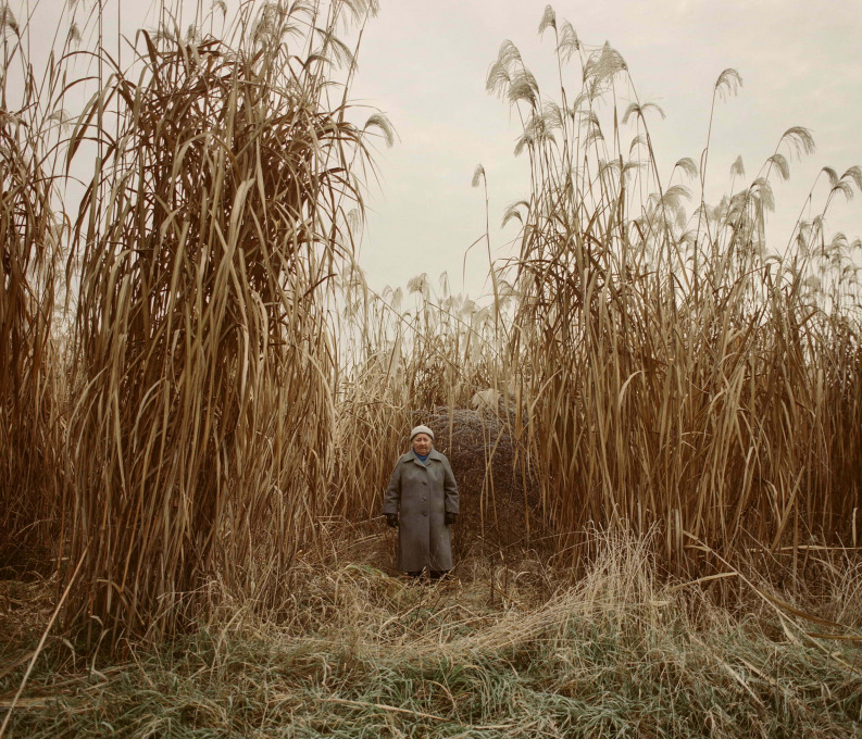 Urša Premik, from the series: Hilda, 2013-.