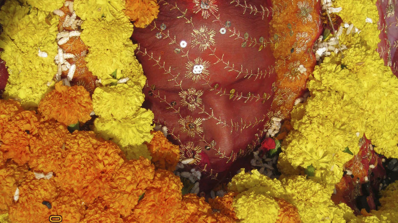 Federico Carpani & Indra Kumar Jha: MAA, 2015.