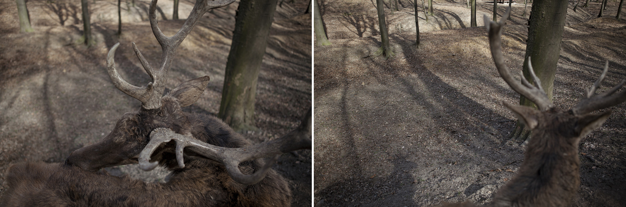 Clare Benson: The Procession, 2012. Archival pigment print. Courtesy of the author.