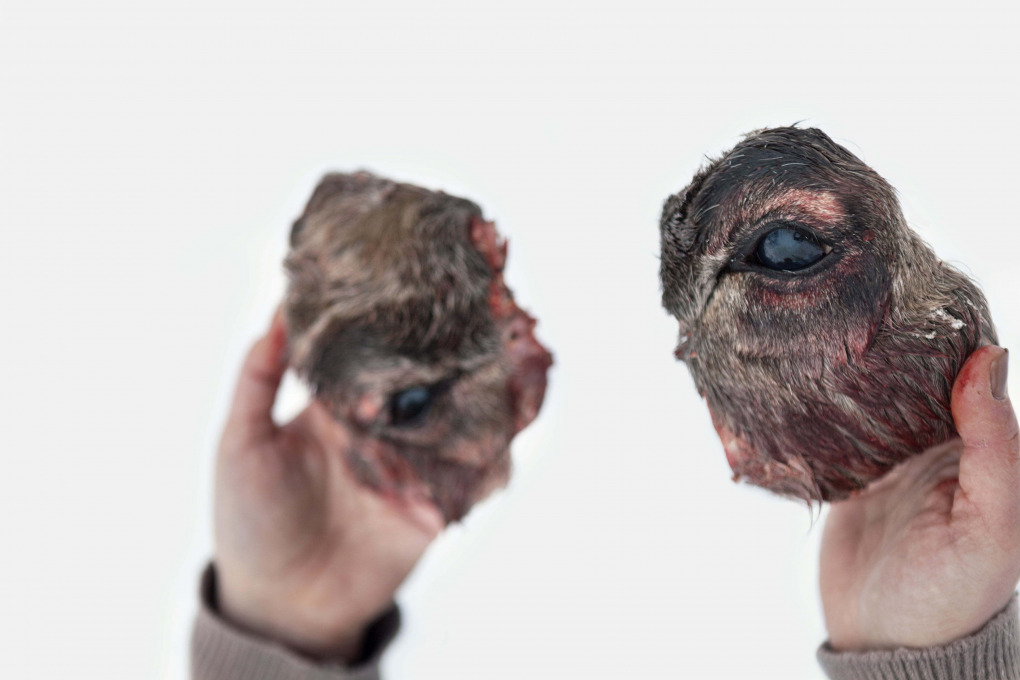 Clare Benson: To See The World Twice, 2015. Archival pigment print. Courtesy of the author.