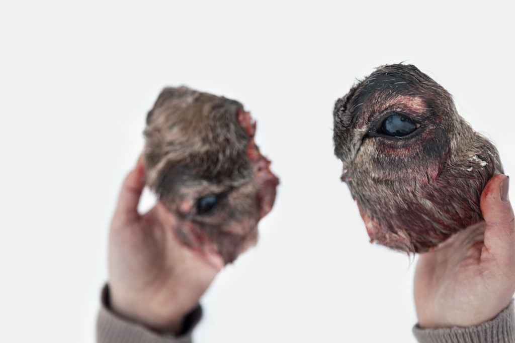Clare Benson: To See The World Twice, 2015. Archival pigment print. Courtesy of the author.