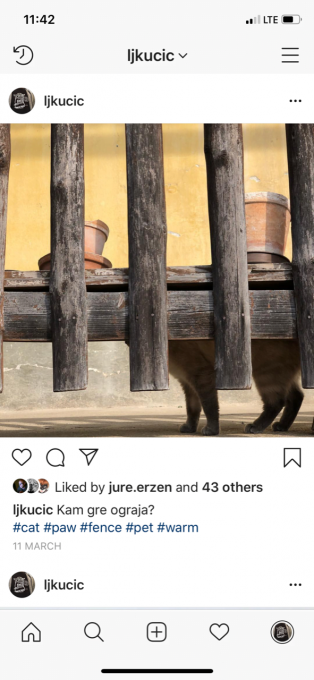 Lenart J. Kučić: Animal Internets.