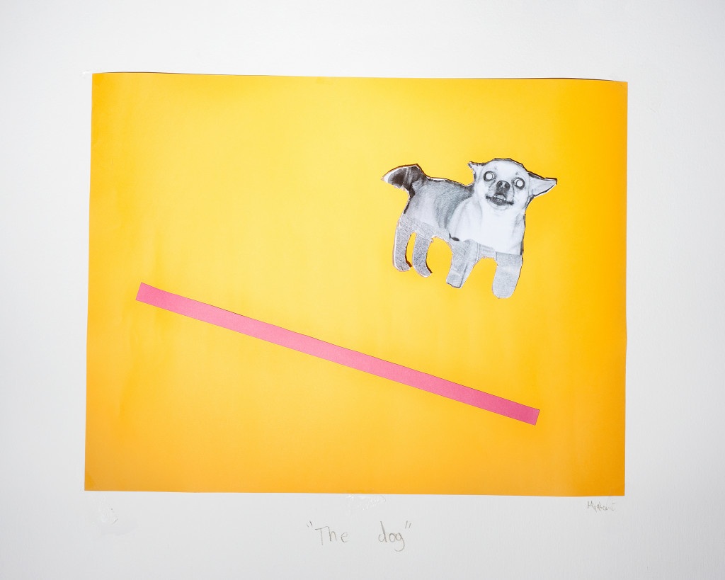 Bojan Mijatović: Dog Experiment, 2016. Courtesy of the author.