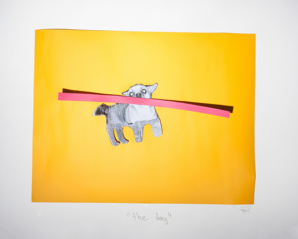 Bojan Mijatović: Dog Experiment, 2016. Courtesy of the author.