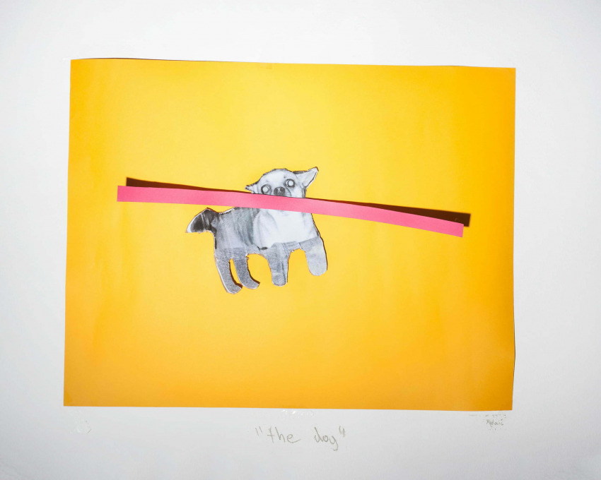 Bojan Mijatović: Dog Experiment, 2016. Courtesy of the author.