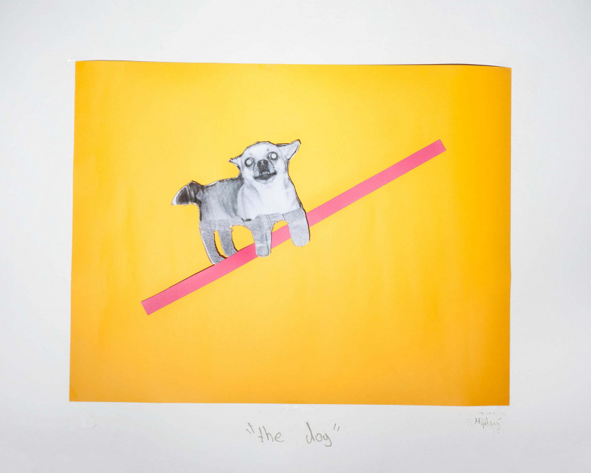 Bojan Mijatović: Dog Experiment, 2016. Courtesy of the author.