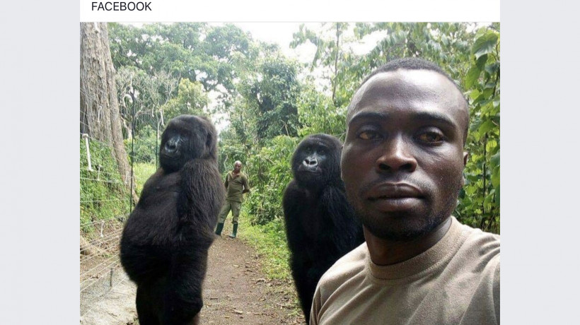 Fig. 2. Mathieu Shamavu: Facebook post titled “Another day at the office...” https://www.facebook.com/47456272672703/photos/rpp.47459672672703/1552236504908669/?type=3&theater. Screenshot Panos Kompatsiaris.