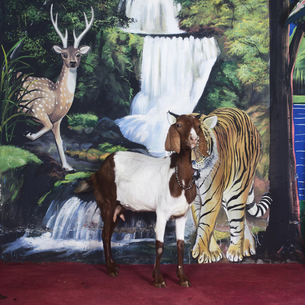 All photographs by Samsul Alam Helal: from the series Love Studio, 2010–2015.