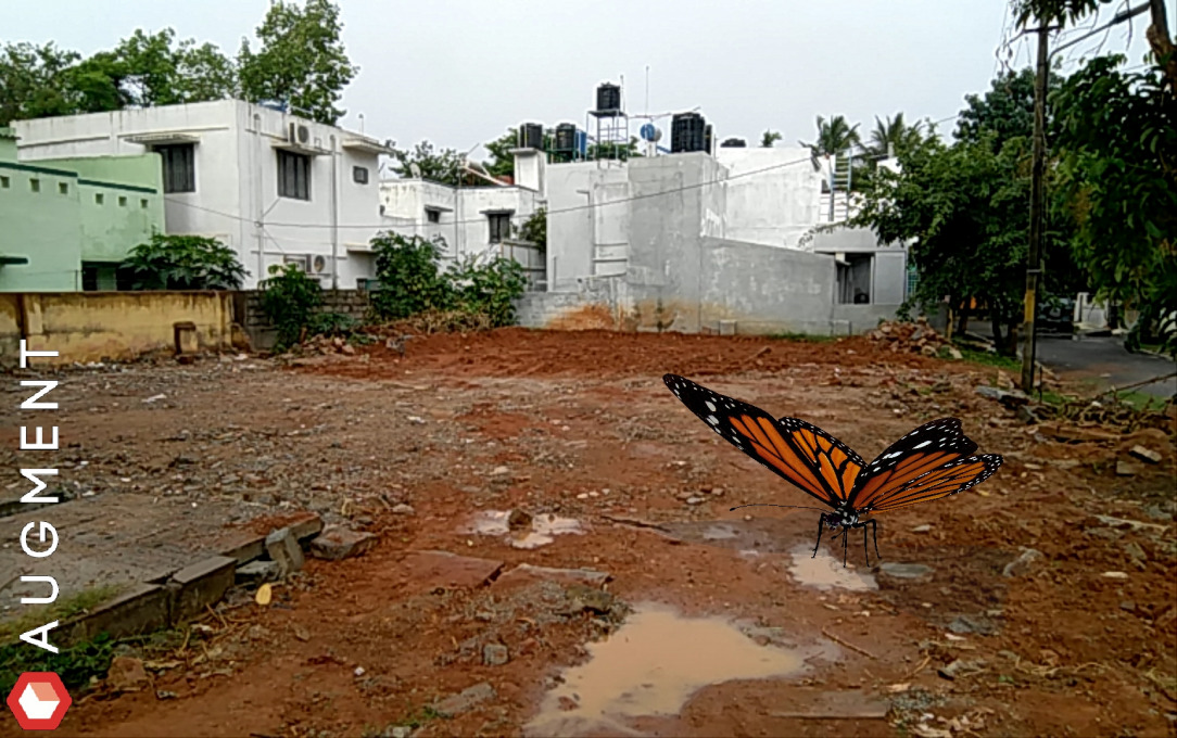 Anisha Baid: Wild Life.