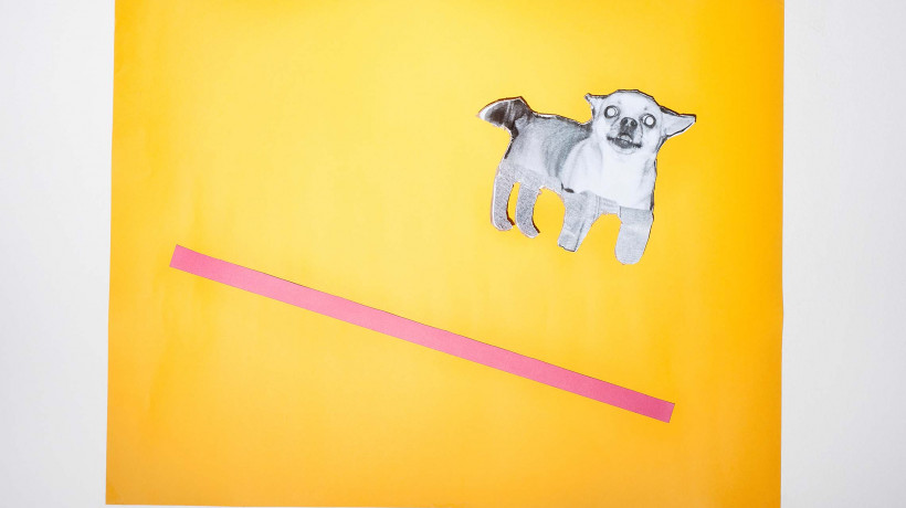 Bojan Mijatović: Dog Experiment, 2016. Courtesy of the author.