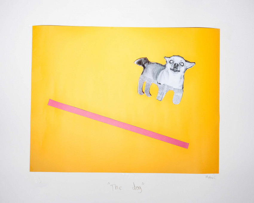 Bojan Mijatović: Dog Experiment, 2016. Courtesy of the author.