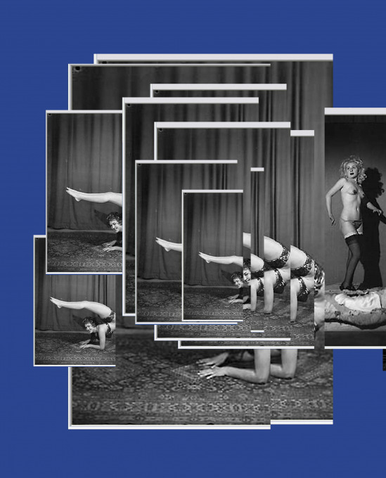 Paula Roush: Sex'n'Database - A Corporeal Taxonomy.