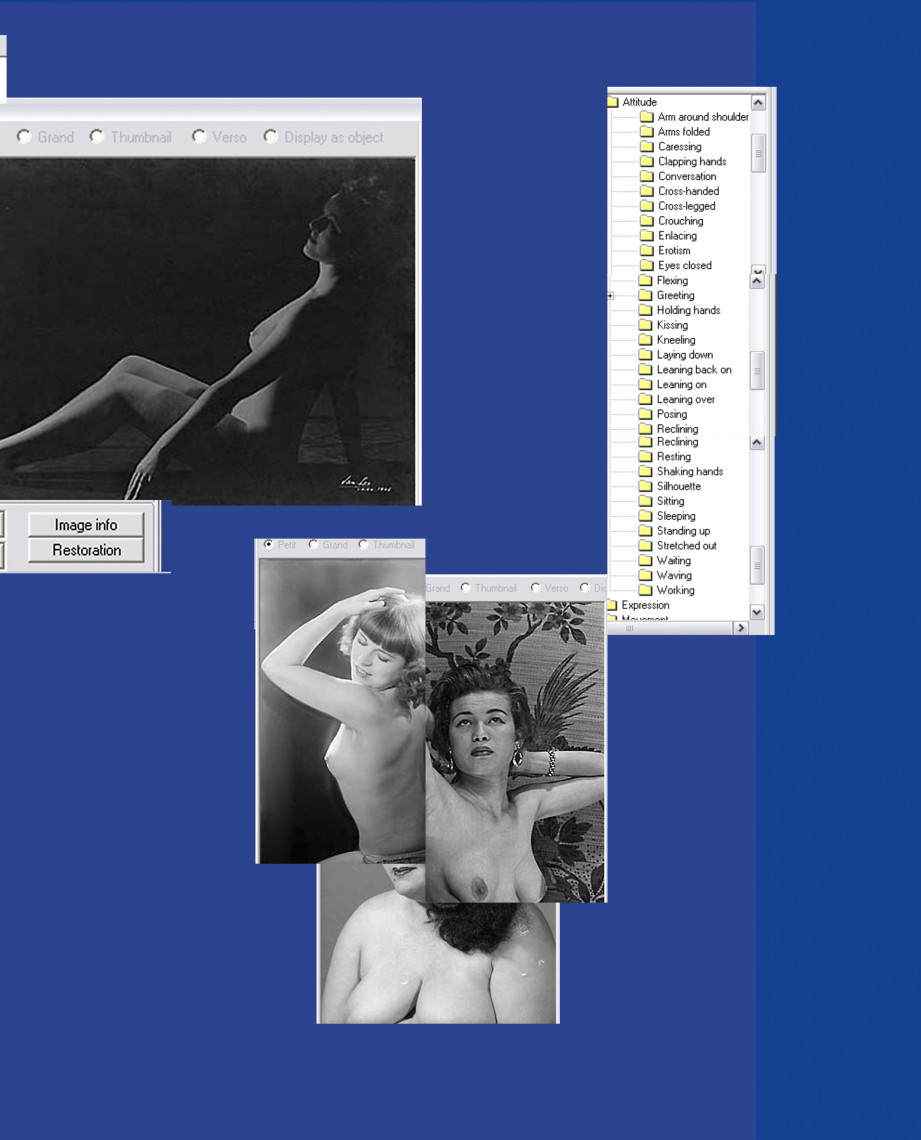 Paula Roush: Sex'n'Database - A Corporeal Taxonomy.