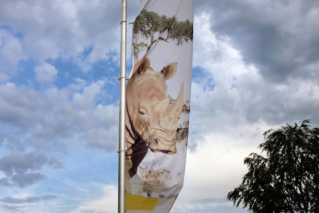 Marko Stojanović: Oases XVI, Salzburg, 2016.
