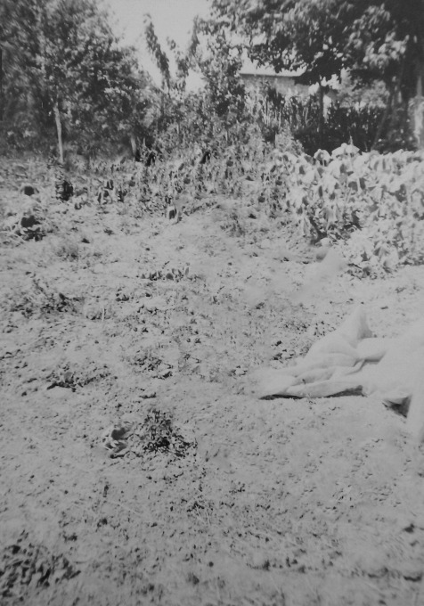 Onur Ciddi: The Great Trip - No Man's Land.