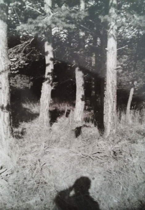Onur Ciddi: The Great Trip - No Man's Land.