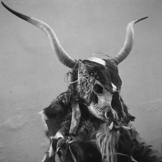 Wild character from Santiago de Arriba, Chantada. During the masquerade of Viana de Bolo, 2019. © 2020 Yannick Cormier.