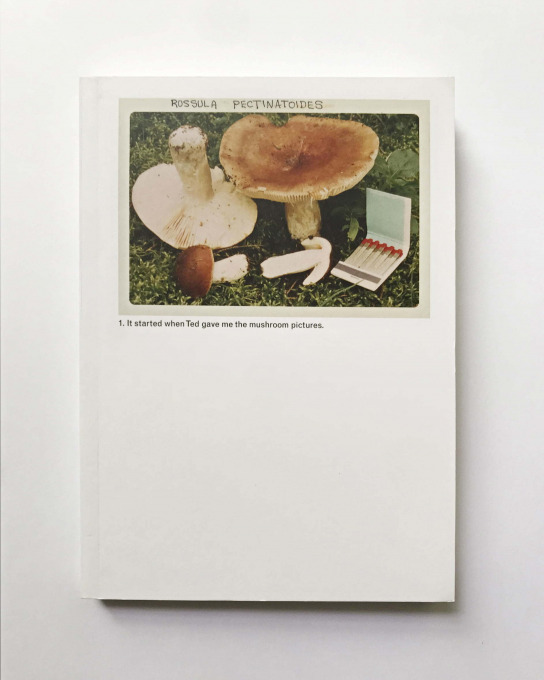 The Mushroom Collector, paperback edition, 2014.