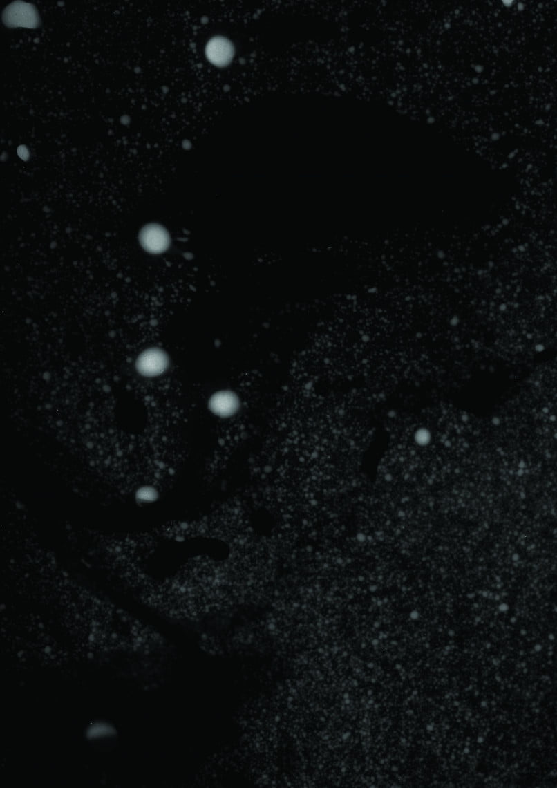 Amandine Freyd, The Laboratory of the Sun:
The Black Flames.