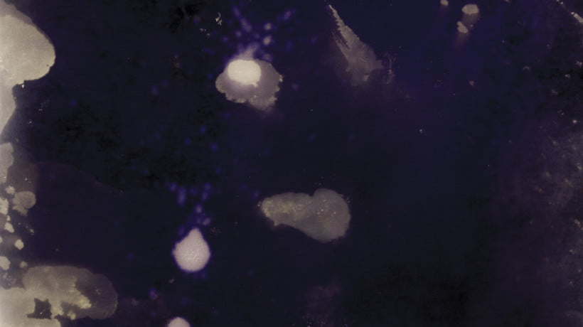 Amandine Freyd, The Laboratory of the Sun:  The Black Flames.