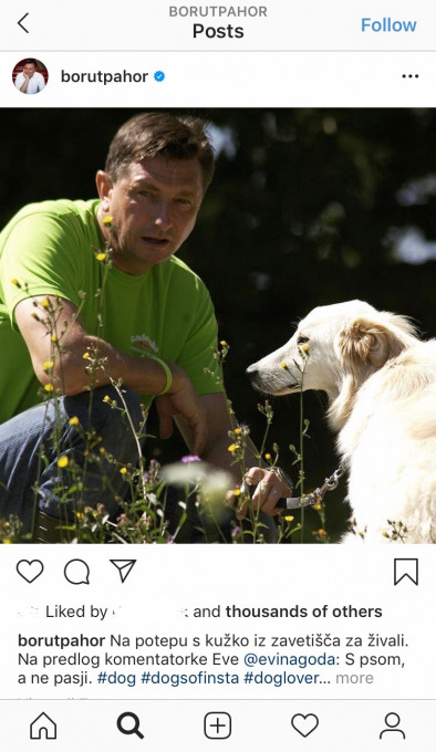 Slovenian President Borut Pahor, dogs and Instagram. Selected by Teja Miholič.