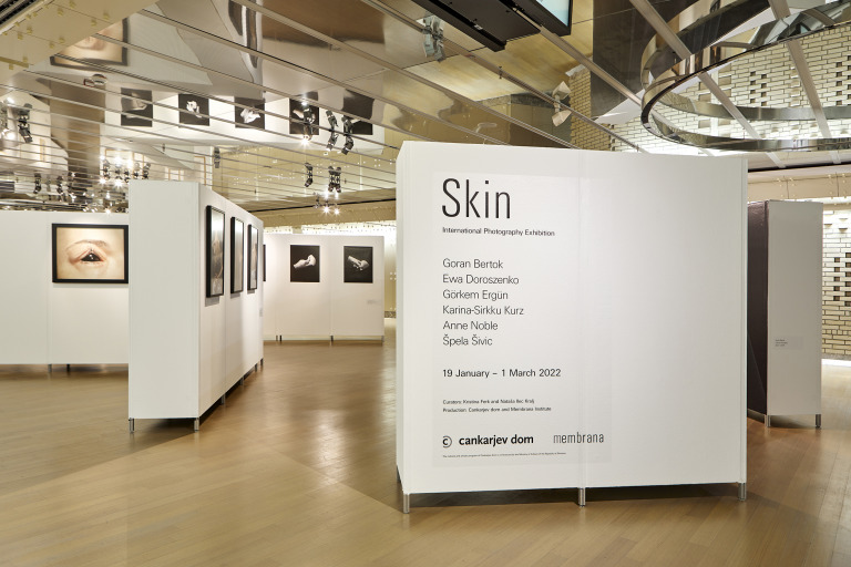 Exhibition Skin, 2022, gallery installation. Photo: Davor Kralj.
