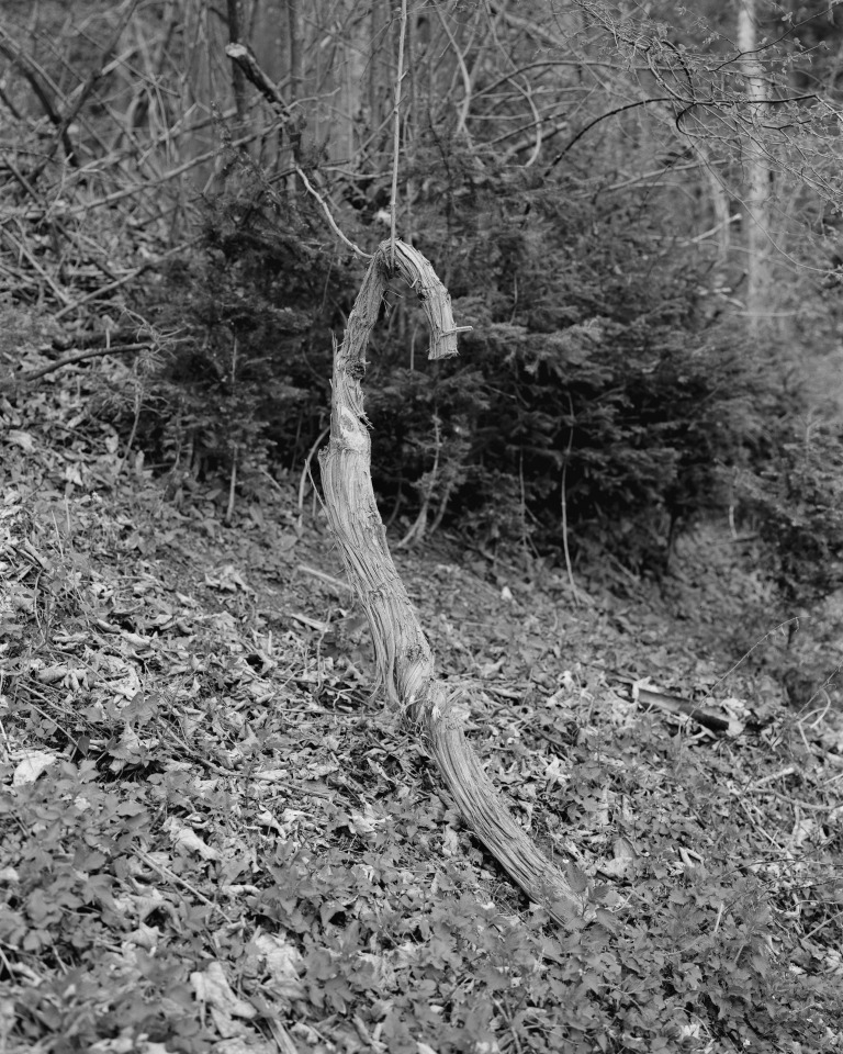 Elias Holzknecht, from the series "Micheldorf Micheldorf Micheldorf Micheldorf."