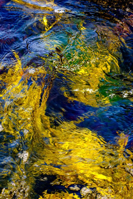 Lisa Hopf, from the series "Permeable Landscapes."